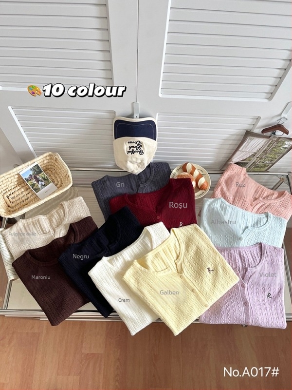 Cardigan tricotat cu broderie, guler rotund, mâneci lungi, croială lejeră — pulover tricotat pentru femei