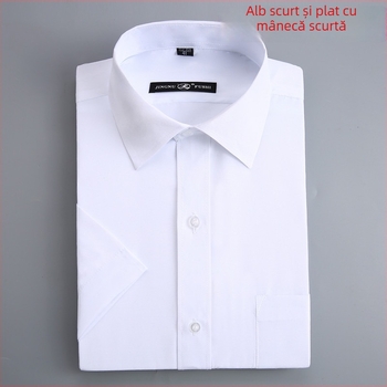 Cămașă, Business, Croială lejeră, Guler pătrat, Mâneci lungi, 95% poliester