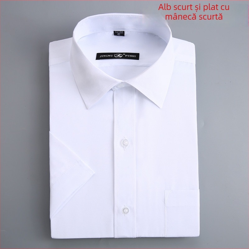 Cămașă, Business, Croială lejeră, Guler pătrat, Mâneci lungi, 95% poliester