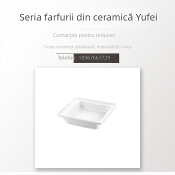 Echipament bufet cu placă ceramică GN2/3 și placă ceramică cu două niveluri, porțelan rezistent la temperaturi înalte