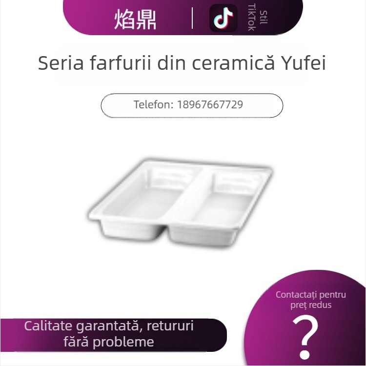 Echipament bufet cu placă ceramică GN2/3 și placă ceramică cu două niveluri, porțelan rezistent la temperaturi înalte