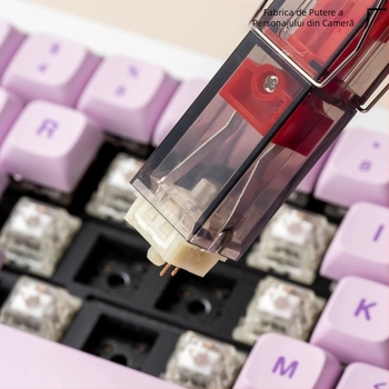 Unealtă duală pentru extragerea axului și a tastelor la tastaturi mecanice
