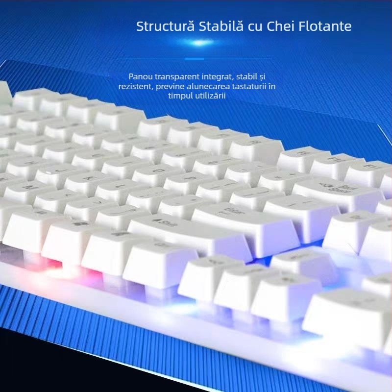 Set tastatură și mouse, USB cablat, peste 98 taste, ABS corp, iluminare monocromă