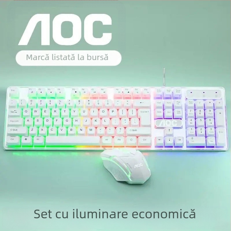 Set tastatură și mouse AOC KM100 (10-pack) - USB cablat, 1600 DPI optic, ergonomic, cablu 1,4 m