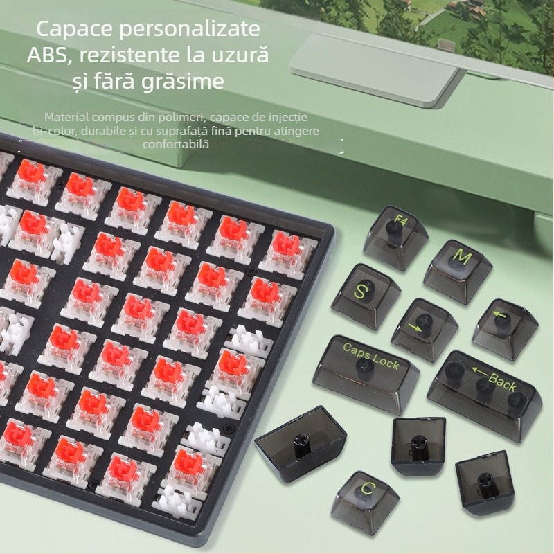 Tastatură mecanică cu 100 de taste, capace de taste transparente, iluminare RGB, acceptă switchuri mecanice personalizate.