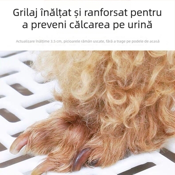 Toaletă plată pentru câini cu bazin detașabil pentru dejecții, protecție împotriva stropilor