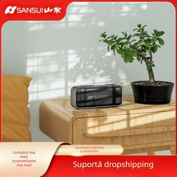 Sistem Auto F36: Subwoofer, Bluetooth, USB, Înregistrare, Memorie