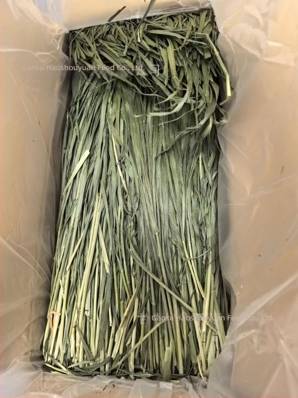 Lucernă uscată pentru rozătoare mici – 1 kg, Good Alfalfa Source, hrană pentru animale de companie