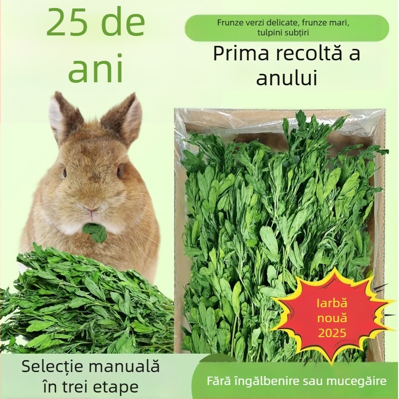 Lucernă uscată pentru rozătoare mici – 1 kg, Good Alfalfa Source, hrană pentru animale de companie