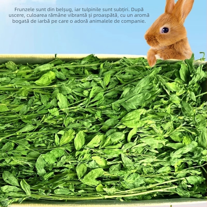 Lucernă uscată pentru rozătoare mici – 1 kg, Good Alfalfa Source, hrană pentru animale de companie