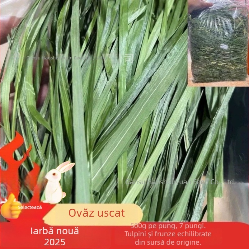 Lucernă uscată pentru rozătoare mici – 1 kg, Good Alfalfa Source, hrană pentru animale de companie