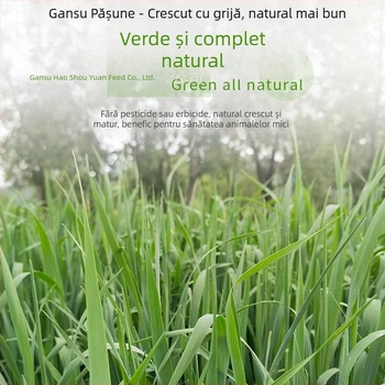 Hrană uscată pentru iepuri și rozătoare – utilizare generală; 1 kg/cutie; Origine: Gansu; Categoria produsului: hrană pentru animale de companie