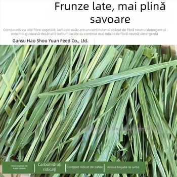 Hrană uscată pentru iepuri și rozătoare – utilizare generală; 1 kg/cutie; Origine: Gansu; Categoria produsului: hrană pentru animale de companie