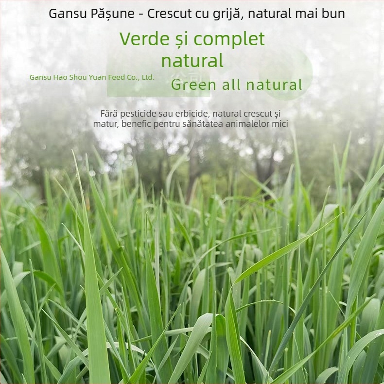 Hrană uscată pentru iepuri și rozătoare – utilizare generală; 1 kg/cutie; Origine: Gansu; Categoria produsului: hrană pentru animale de companie