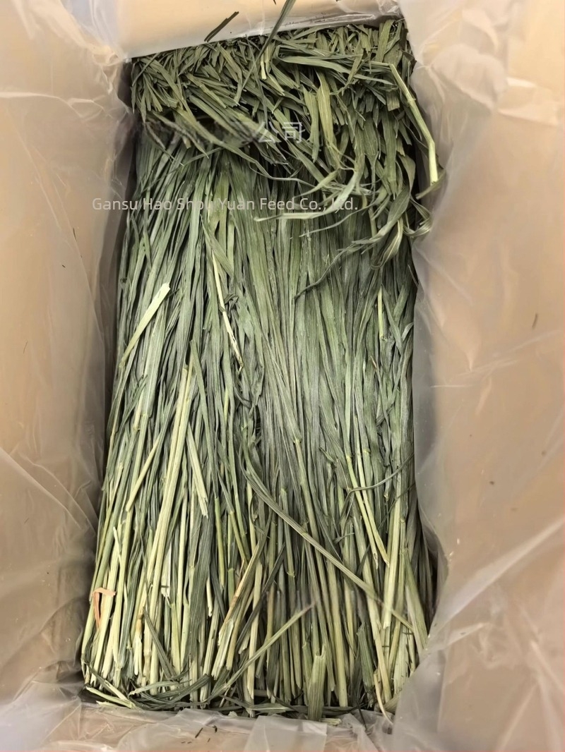 Hrană uscată pentru iepuri și rozătoare – utilizare generală; 1 kg/cutie; Origine: Gansu; Categoria produsului: hrană pentru animale de companie