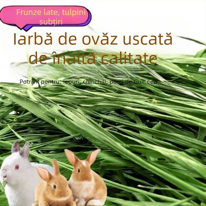 Hrană uscată pentru iepuri și rozătoare – utilizare generală; 1 kg/cutie; Origine: Gansu; Categoria produsului: hrană pentru animale de companie