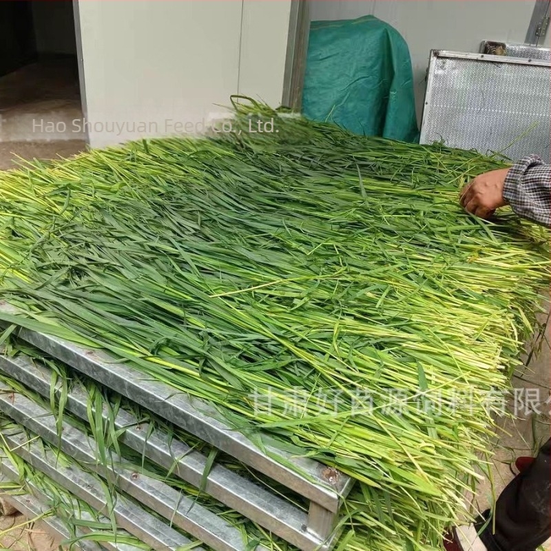 Hrană uscată pentru iepuri și rozătoare – utilizare generală; 1 kg/cutie; Origine: Gansu; Categoria produsului: hrană pentru animale de companie