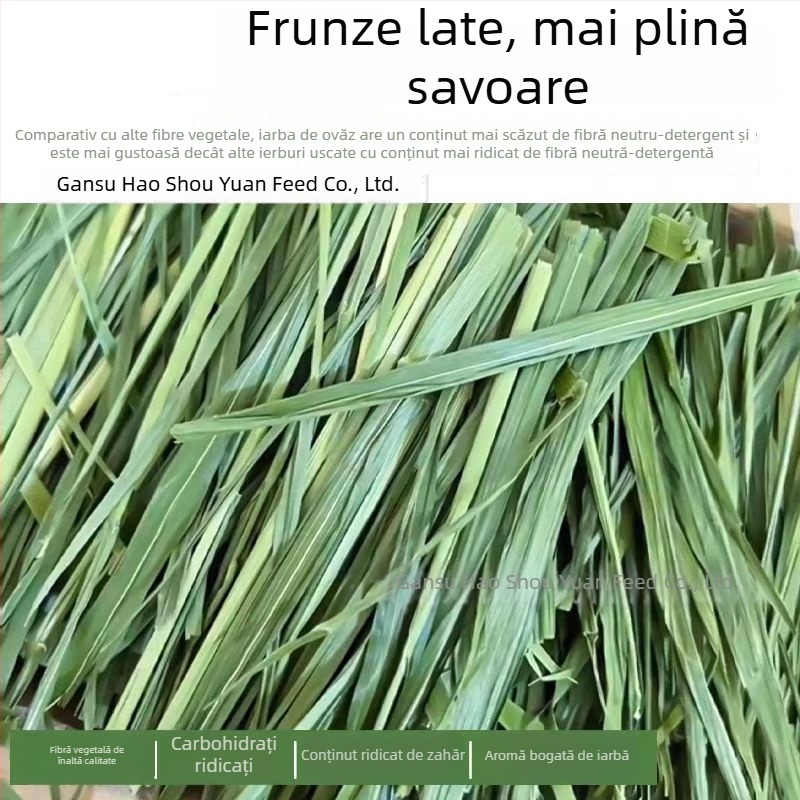 Hrană uscată pentru iepuri și rozătoare – utilizare generală; 1 kg/cutie; Origine: Gansu; Categoria produsului: hrană pentru animale de companie