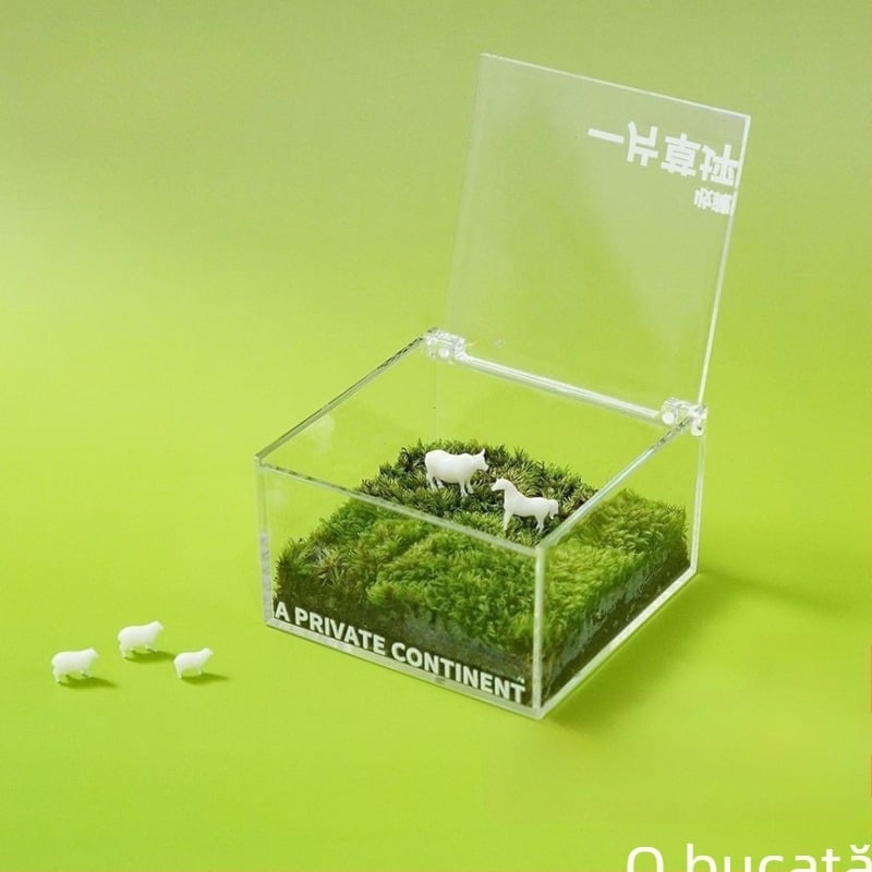 Micro peisaj cu mușchi în cutie de birou — lucrat manual, personalizabil, mușchi ca material, imprimare logo disponibil