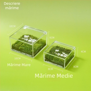 Peisaj micro cu mușchi pentru birou — Material: mușchi; Decor pentru birou; Potrivit ca dar corporativ; Drepturi IP neautorizate