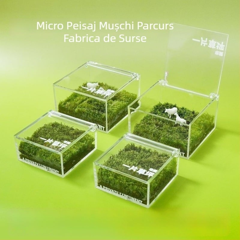 Peisaj micro cu mușchi pentru birou — Material: mușchi; Decor pentru birou; Potrivit ca dar corporativ; Drepturi IP neautorizate