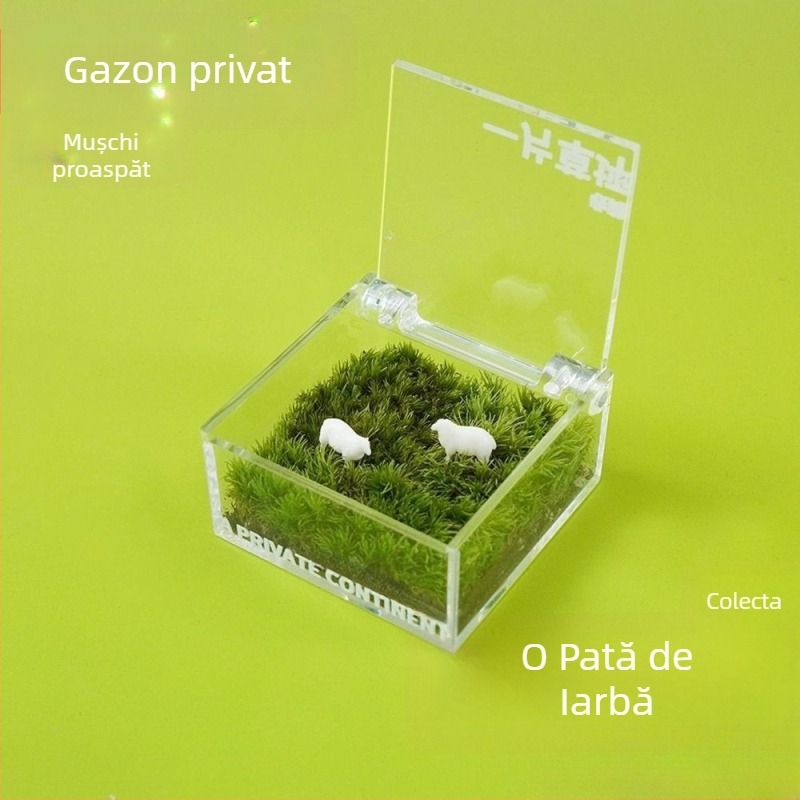 Peisaj micro cu mușchi pentru birou — Material: mușchi; Decor pentru birou; Potrivit ca dar corporativ; Drepturi IP neautorizate