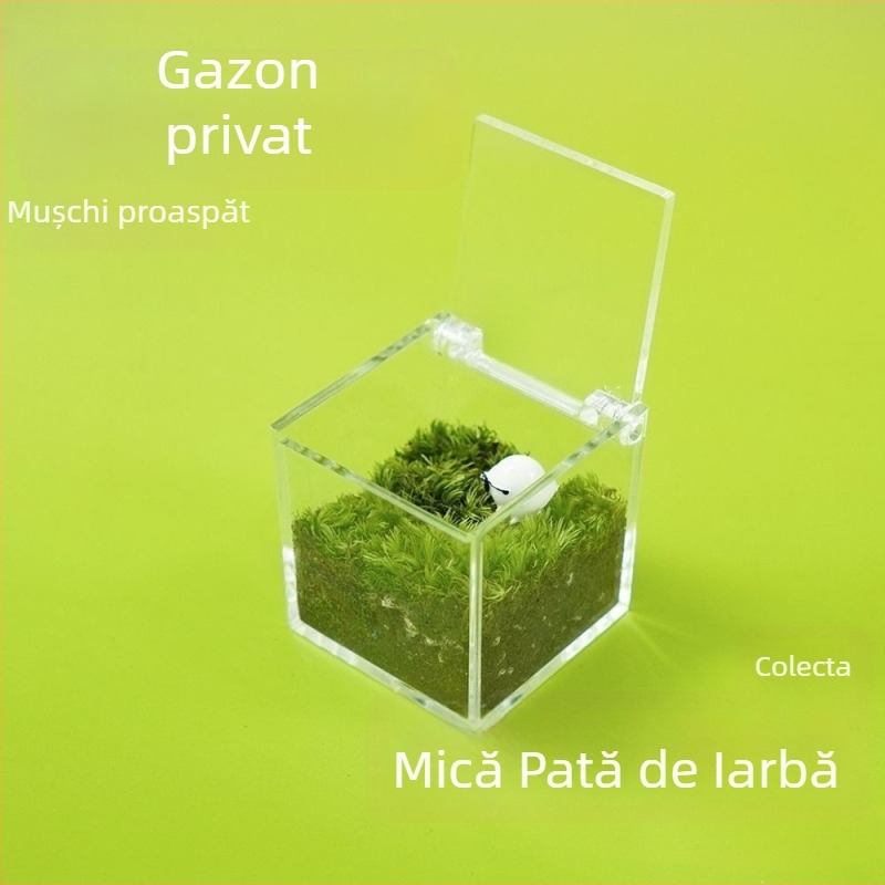 Peisaj micro cu mușchi pentru birou — Material: mușchi; Decor pentru birou; Potrivit ca dar corporativ; Drepturi IP neautorizate