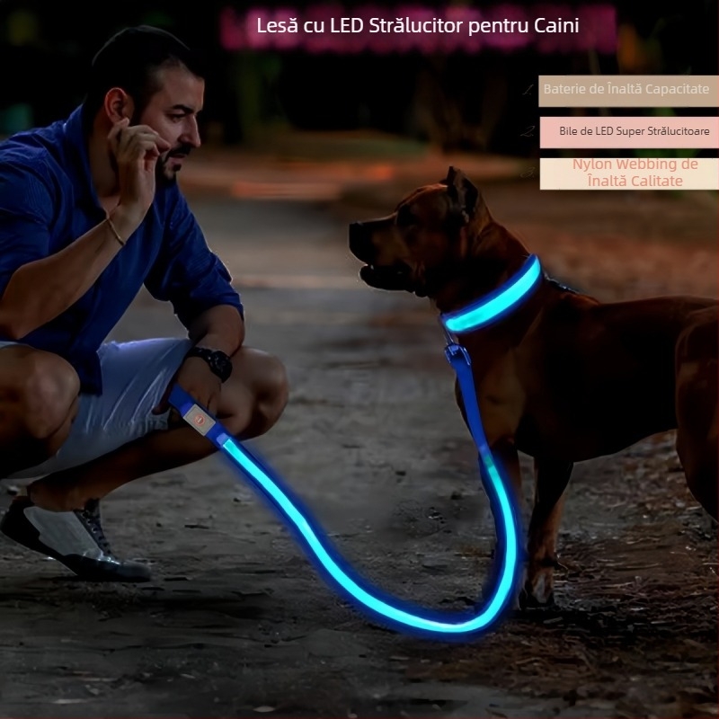 Lesă pentru câine USB reîncărcabilă cu LED, bandă reflectorizantă din nylon – neextensibilă pentru plimbări nocturne