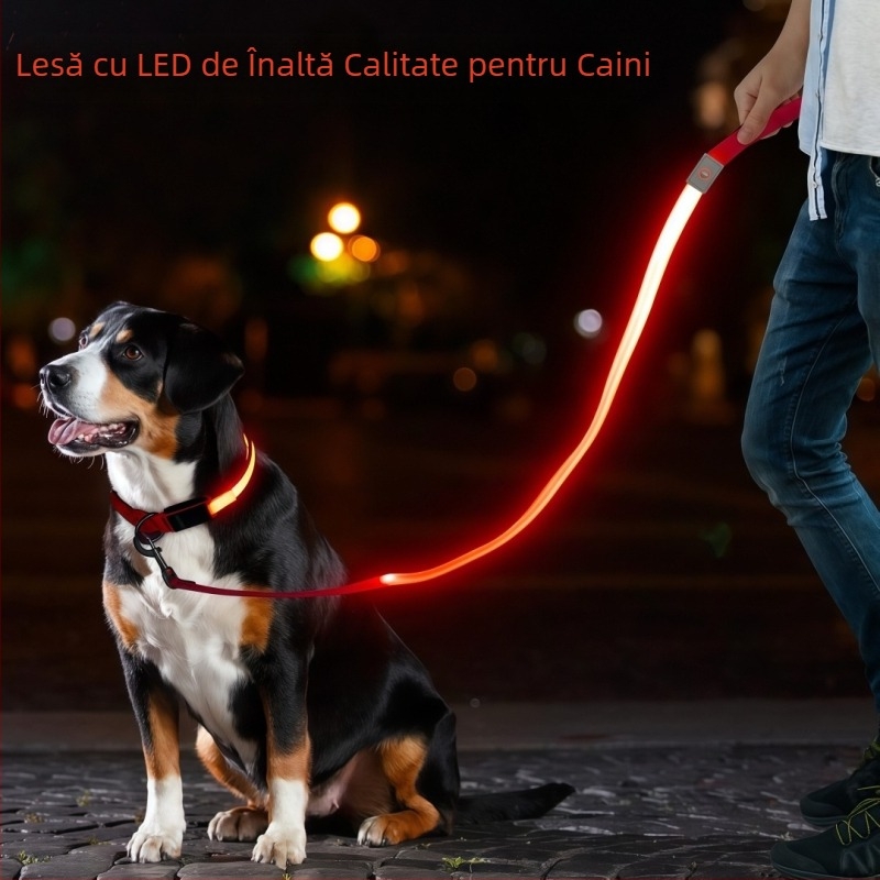 Lesă pentru câine USB reîncărcabilă cu LED, bandă reflectorizantă din nylon – neextensibilă pentru plimbări nocturne