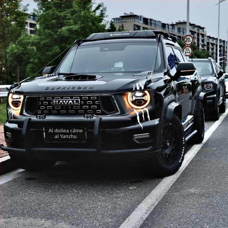 Autocolant decorativ auto cu imprimare de labă și sprânceană a farului, material epoxidic, instalare cu bandă adezivă, personalizabil