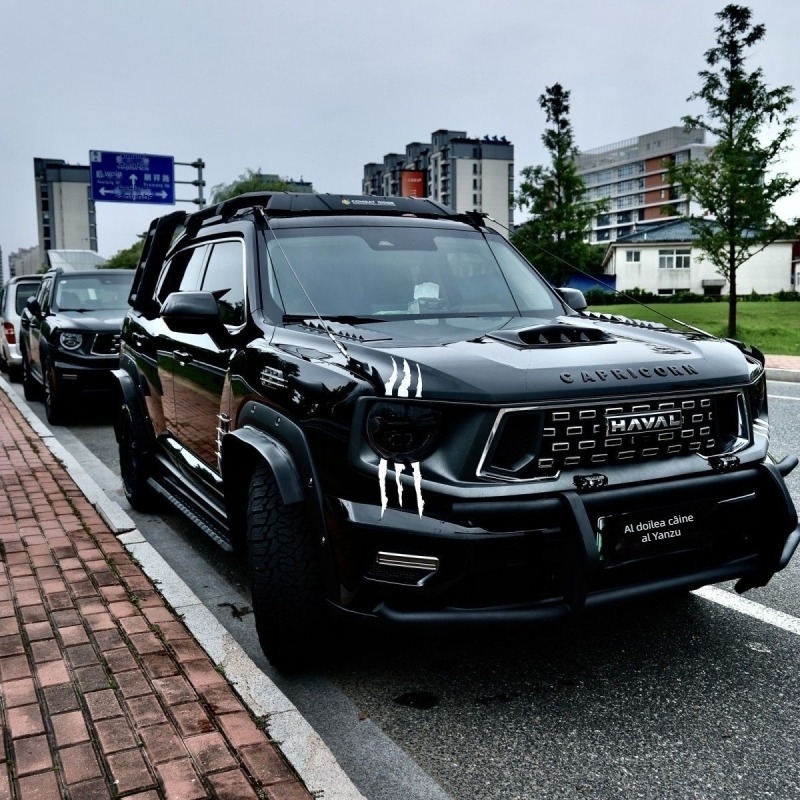 Autocolant decorativ auto cu imprimare de labă și sprânceană a farului, material epoxidic, instalare cu bandă adezivă, personalizabil