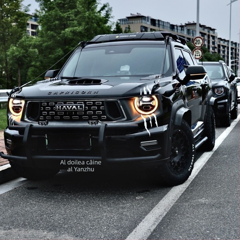 Autocolant decorativ auto cu imprimare de labă și sprânceană a farului, material epoxidic, instalare cu bandă adezivă, personalizabil