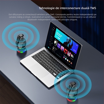 Boxă portabilă Bluetooth cu radio FM, 5W ieșire, baterie încorporată 1000-1200 mAh, Bluetooth 5.3