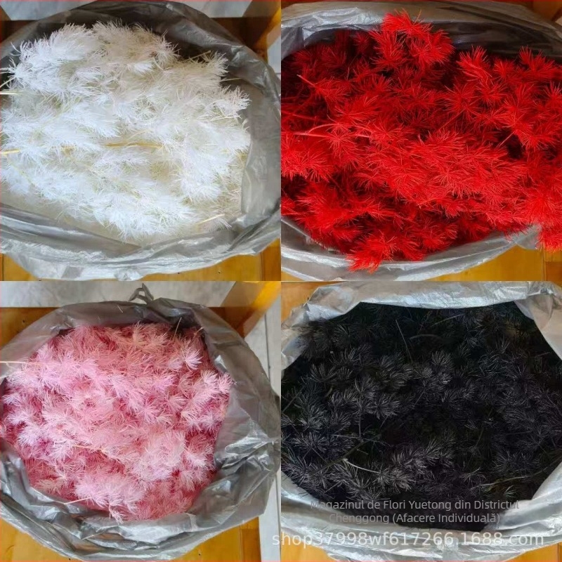 Flori uscate Penglai pine – crenguțe laterale pentru decor de nuntă (Material: flori uscate și păstrate; Varietate: Penglai pine; Brand: Yuetong Flowers)