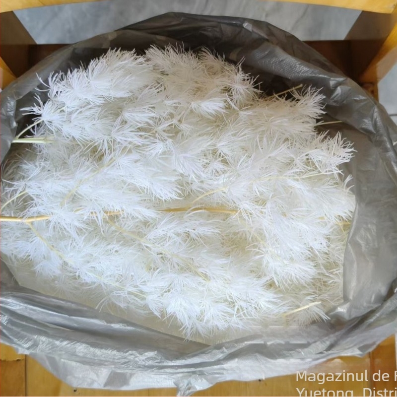 Flori uscate Penglai pine – crenguțe laterale pentru decor de nuntă (Material: flori uscate și păstrate; Varietate: Penglai pine; Brand: Yuetong Flowers)