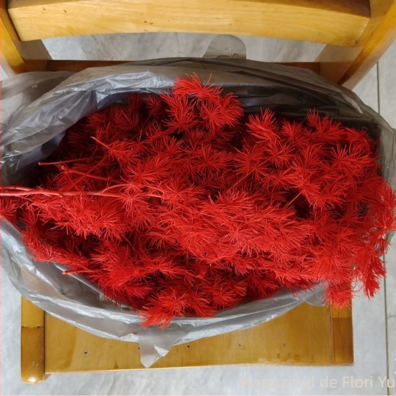 Flori uscate Penglai pine – crenguțe laterale pentru decor de nuntă (Material: flori uscate și păstrate; Varietate: Penglai pine; Brand: Yuetong Flowers)