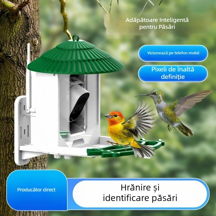 Camera pentru hrănire a păsărilor BF10 — autonomie baterie 30 zile, rază imagine 15 m, material ABS ecologic, carcasă din plastic (Model BF10, autonomie baterie 30 zile, rază imagine 15 m, Material ABS ecologic, Carcasă din plastic)