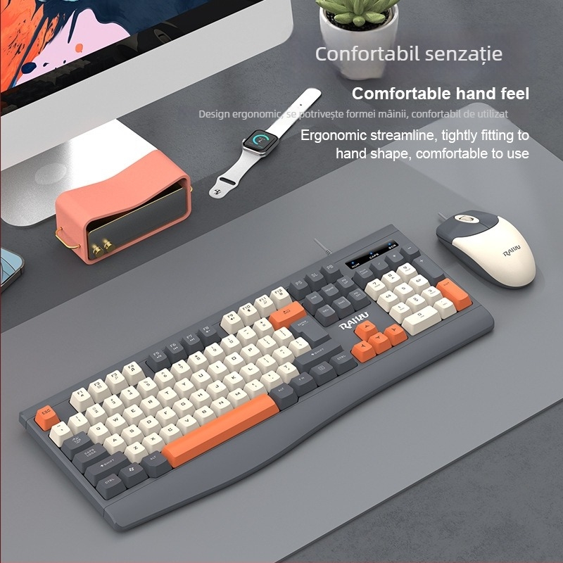 RAIKU R903 Set tastatură și mouse cu cablu – tastatură USB și mouse USB, cablu de 1,4 m