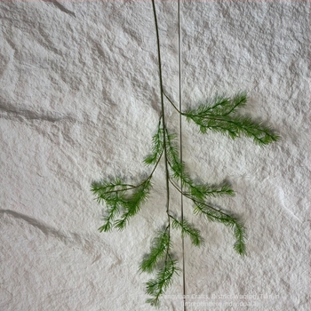 Plantă artificială de flori din mătase pentru fundal de nuntă și recuzită pentru fotografiat, fabricată prin turnare prin injecție, potrivită pentru exterior și decor de casă