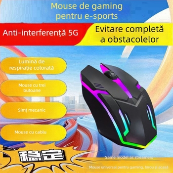 Mouse optic USB, cablat, 2 butoane