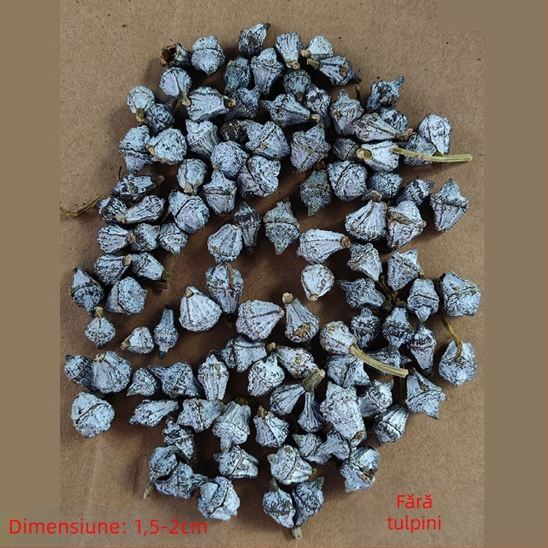 Buchet de frunze de eucalipt din flori uscate, necolorate, pentru aranjamente florale, ambalaj Opp în pungă