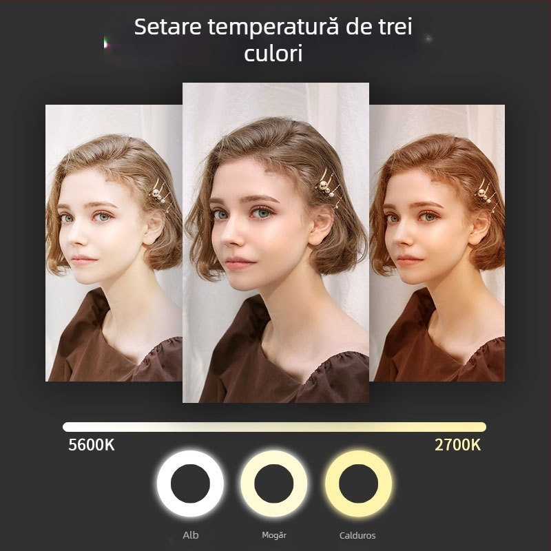 Shiming SM206 Lumină de umplere pliabilă, 60W, 110-240V, pentru frumusețe, machiaj și transmisiuni live