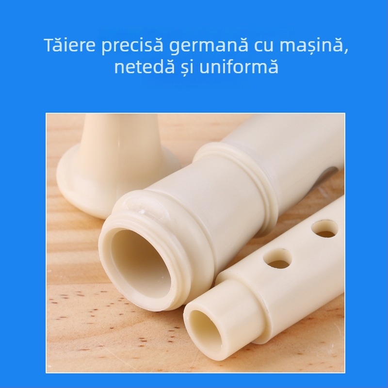 Swan recorder, instrument de început pentru copii, cu 6 găuri, stil german, practică în clasă