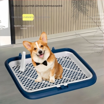 Litieră pentru câini din plastic – cu două niveluri, anti-stropire la urină, anti-pasare, pentru cățeluși, uz casnic