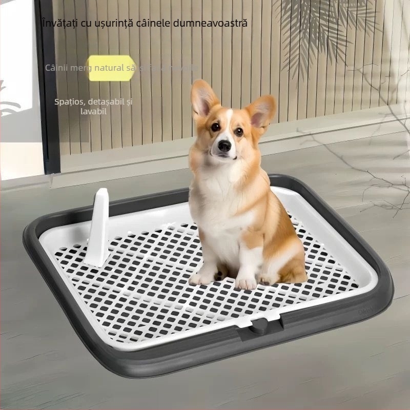 Litieră pentru câini din plastic – cu două niveluri, anti-stropire la urină, anti-pasare, pentru cățeluși, uz casnic