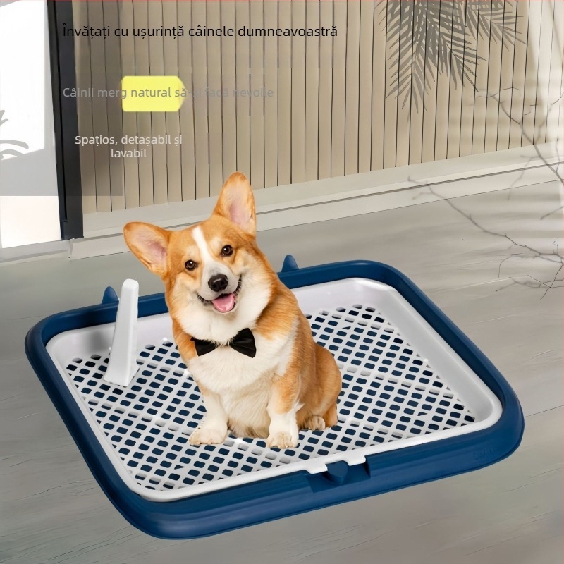 Litieră pentru câini din plastic – cu două niveluri, anti-stropire la urină, anti-pasare, pentru cățeluși, uz casnic