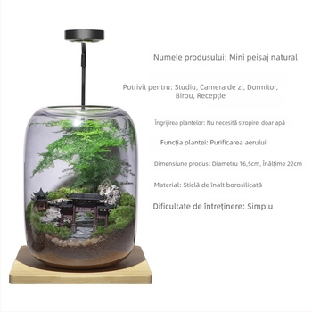 Sticlă ecologică cu micro-peisaj de mușchi – decor pentru birou, bonsai (Material: Sticlă, Meșteșug: Altul, Importat: Nu, Cadou: Nu, Autorizare IP: Nu)