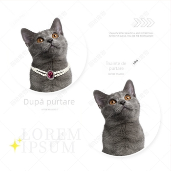 Colier pentru animale de companie cu două rânduri verticale din perle artificiale cu strasuri, reglabil pentru pisici și câini