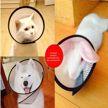Guler Elizabethan din PU pentru animale de companie — protecție transparentă, moale, pentru îngrijire postoperatorie, anti-lingere și anti-mușcare, stil casual, pentru toate anotimpurile