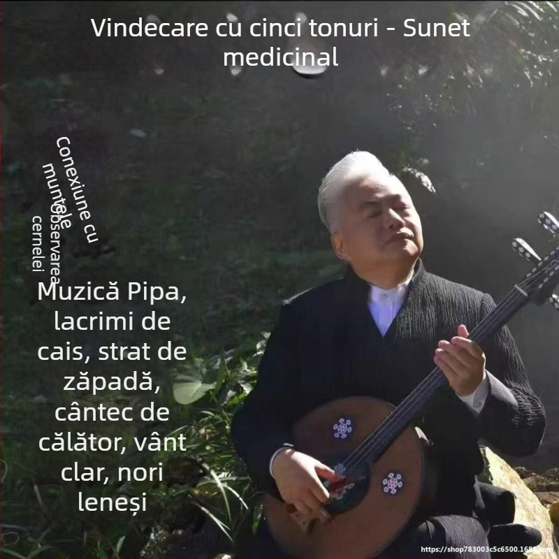 Disc USB muzical pentru instrumente chineze pentatonice — piano, pipa, guzheng; sunet de înaltă calitate pentru ambient într-o sală de ceai; compatibil cu montaj auto; fără ecran